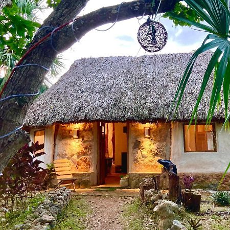 Encantadora Villa Maya Tradicional En Rancho Agroecologico Tzucaceb Exterior foto
