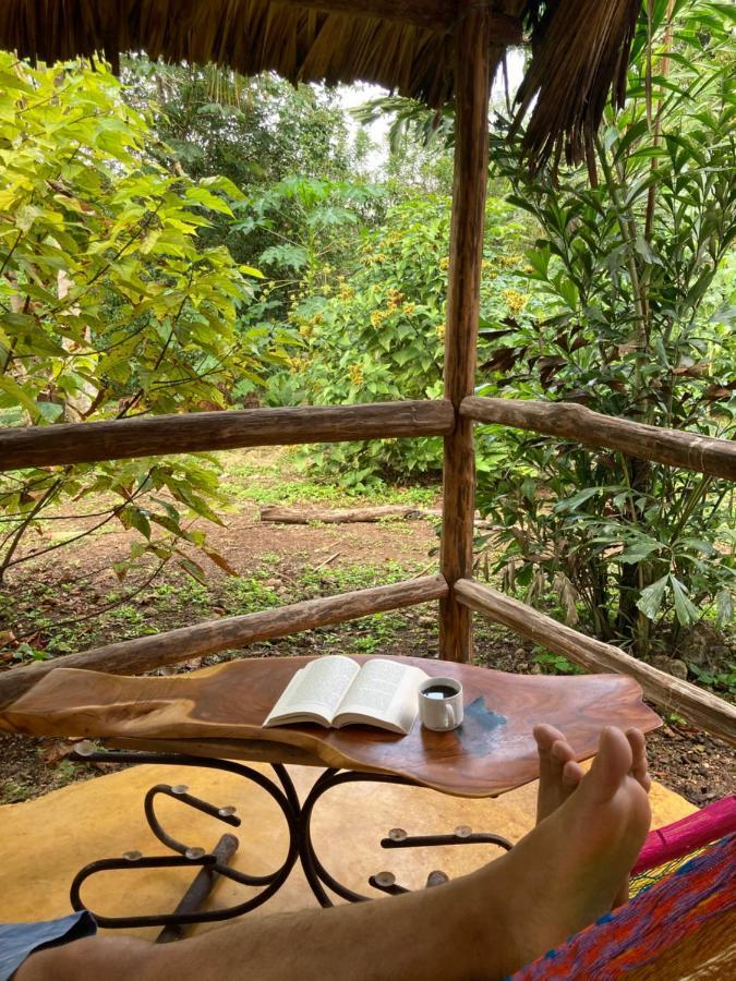 Encantadora Villa Maya Tradicional En Rancho Agroecologico Tzucaceb Exterior foto