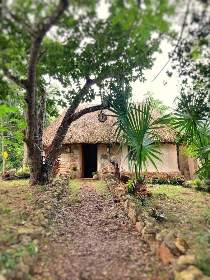 Encantadora Villa Maya Tradicional En Rancho Agroecologico Tzucaceb Exterior foto