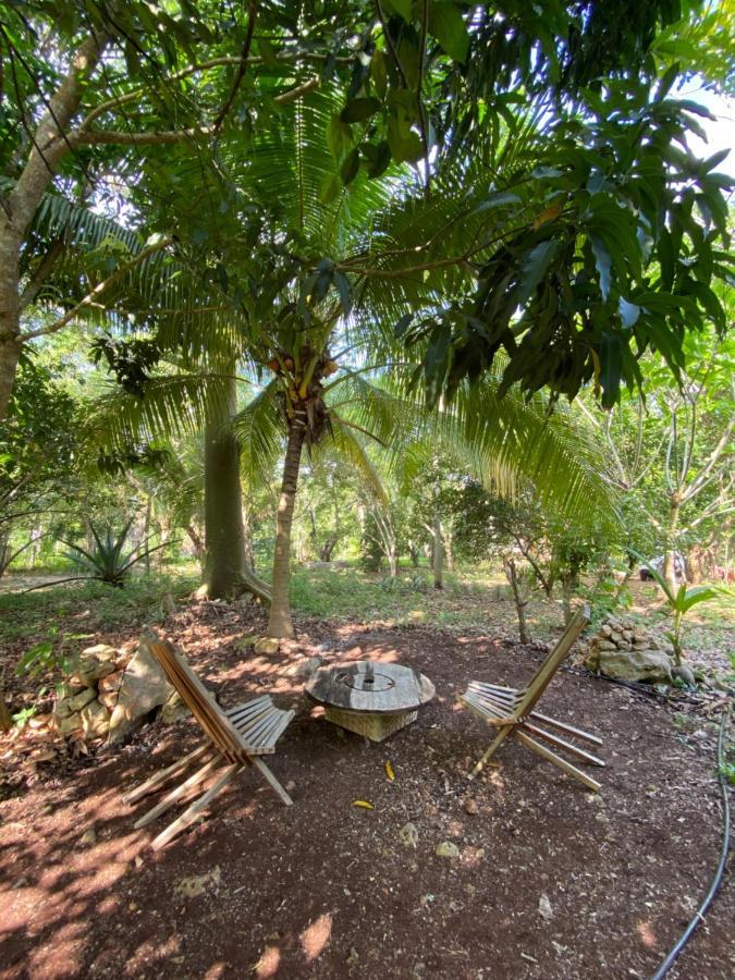 Encantadora Villa Maya Tradicional En Rancho Agroecologico Tzucaceb Exterior foto