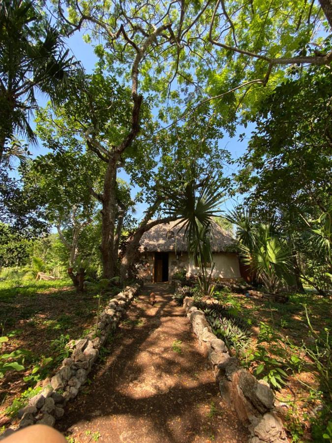 Encantadora Villa Maya Tradicional En Rancho Agroecologico Tzucaceb Exterior foto