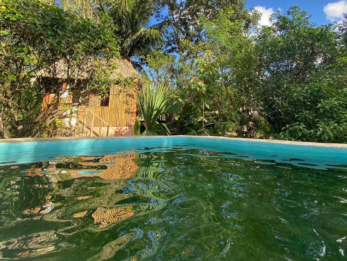 Encantadora Villa Maya Tradicional En Rancho Agroecologico Tzucaceb Exterior foto