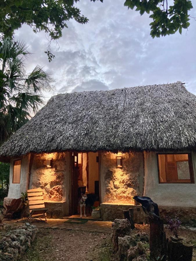 Encantadora Villa Maya Tradicional En Rancho Agroecologico Tzucaceb Exterior foto