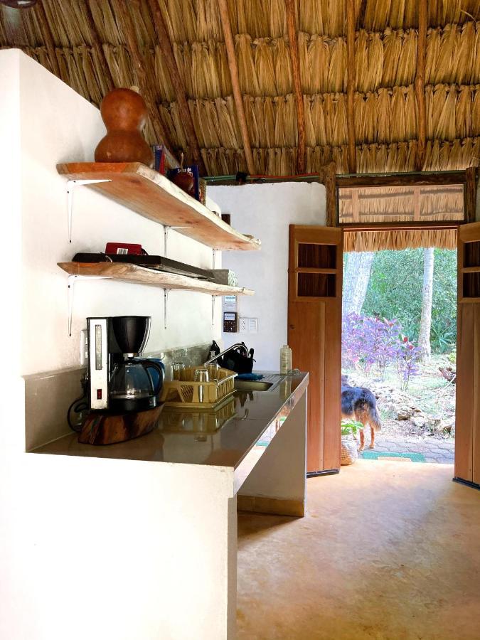 Encantadora Villa Maya Tradicional En Rancho Agroecologico Tzucaceb Exterior foto