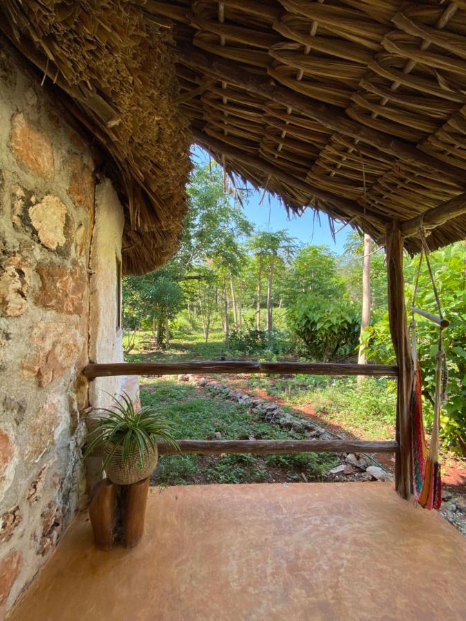Encantadora Villa Maya Tradicional En Rancho Agroecologico Tzucaceb Exterior foto